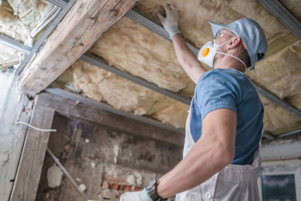 Best Geographic-Specific Insulation Services in Badin, NC